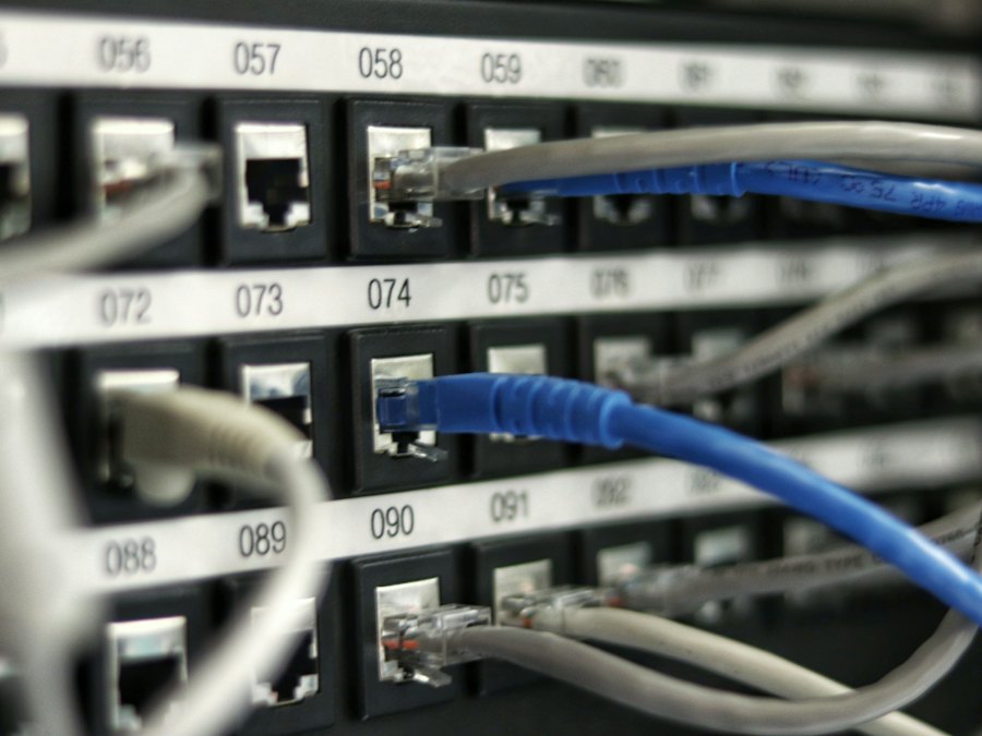 Blue network cables terminated in a patch panel